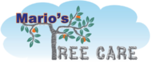 Louisville Tree Care Guarantee