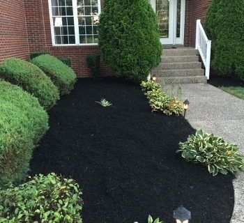 Picture This: A Clean Lawn