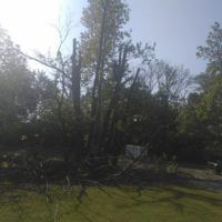 Before Photos