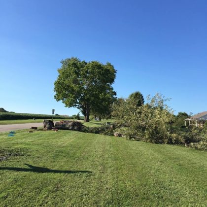 storm-damaged-tree-removal-louisville-ky