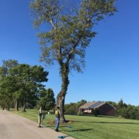 storm-damaged-tree-removal-company-louisville-ky