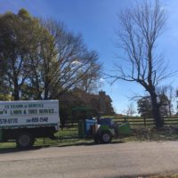 fence-line-tree-removal-company-louisville-ky