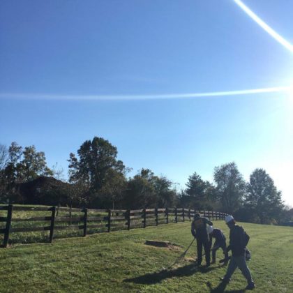 fence-tree-removal-louisville