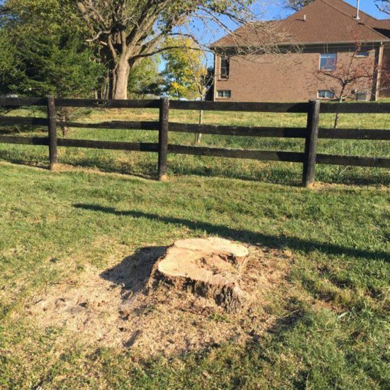 tree-removal-fence-line