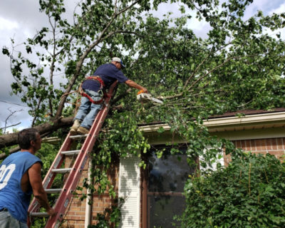 emergency-tree-removal-service-louisville-ky